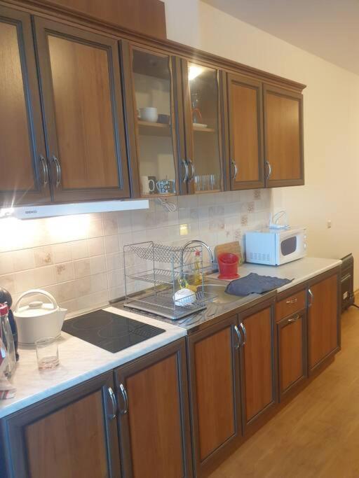 Studio Silver Terace With Sea View For 4 Person 比亚拉 外观 照片