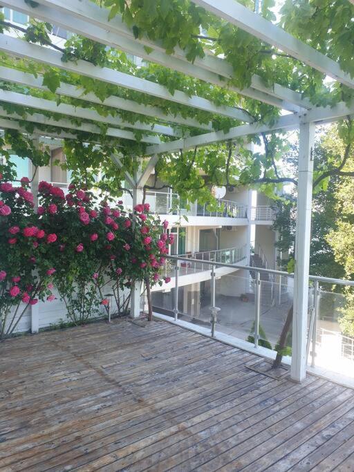 Studio Silver Terace With Sea View For 4 Person 比亚拉 外观 照片